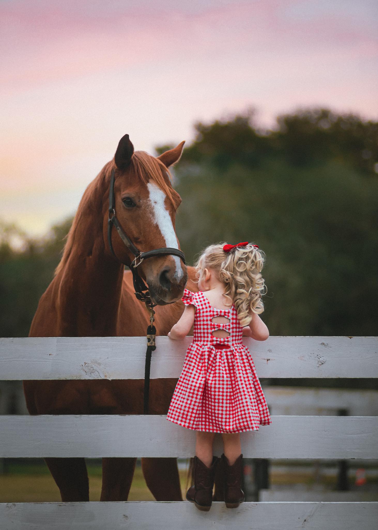 Red Gingham Bow Back Dress with Flutter Sleeve