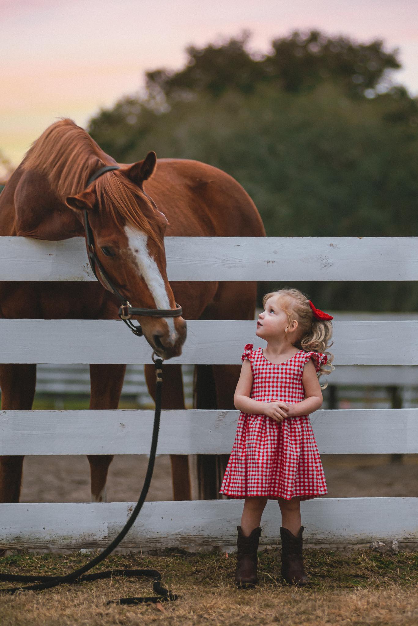 Red Gingham Bow Back Dress with Flutter Sleeve