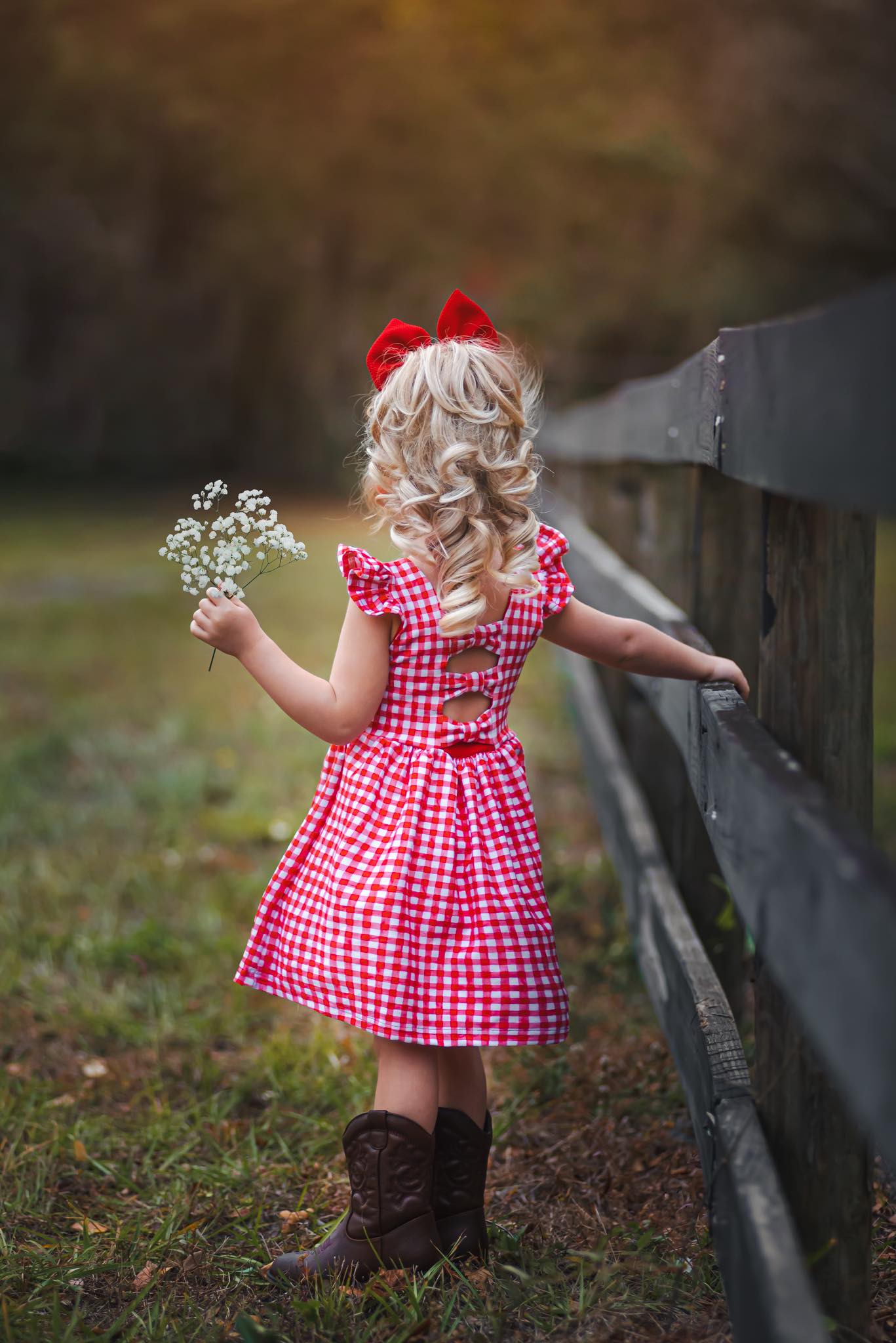 Red Gingham Bow Back Dress with Flutter Sleeve