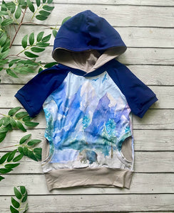 Mountain Wilderness Raglan Hoodie